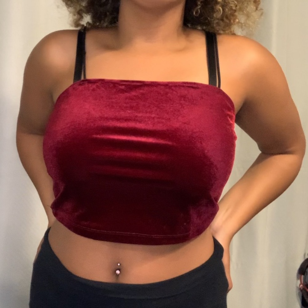 Velvet Crop Top